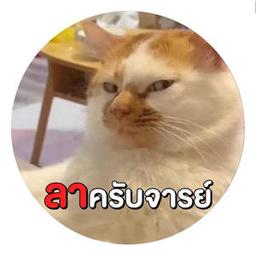 กดเพื่อเปลี่ยนรูป