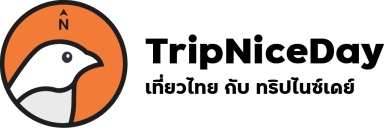 TripNiceDay